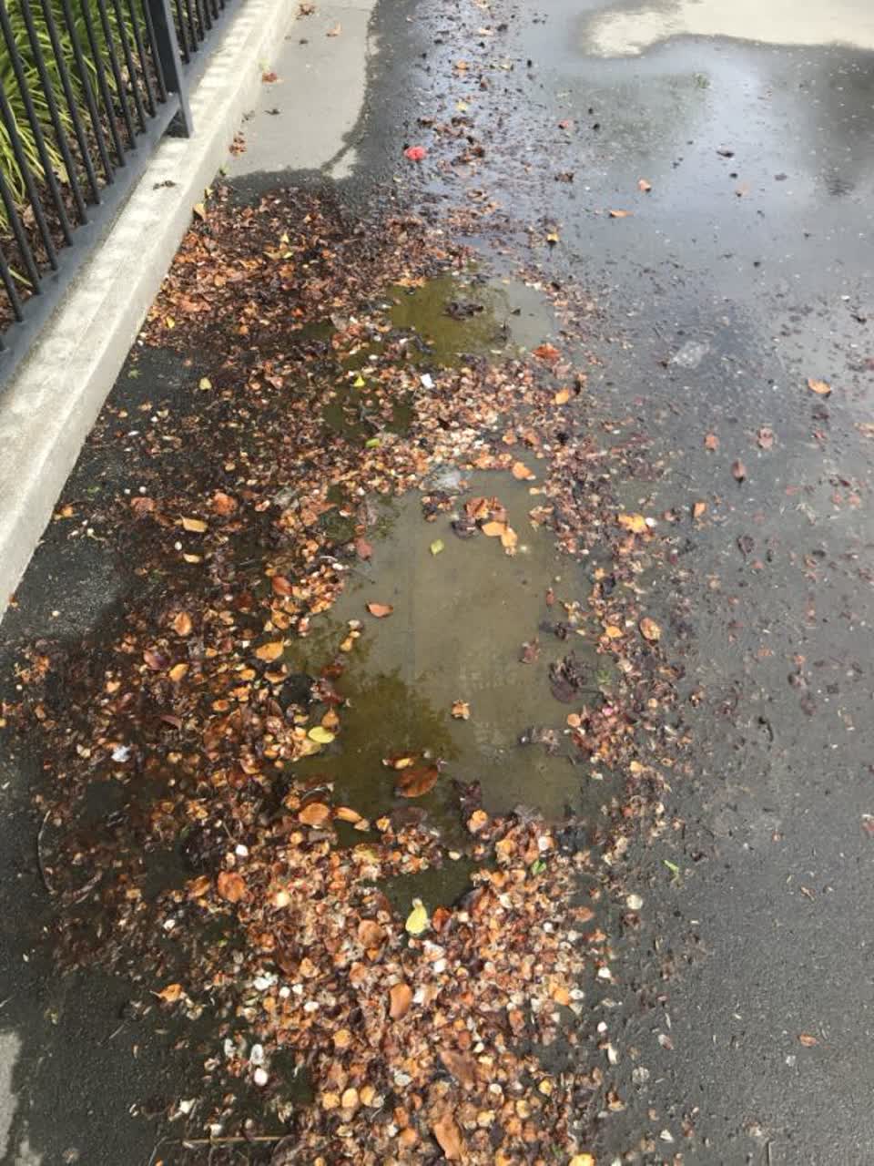 The photograph attached to this water supply report