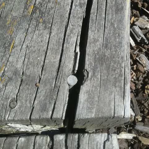 Parks, a report photo