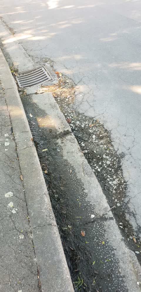 Roading/Streets, a report photo