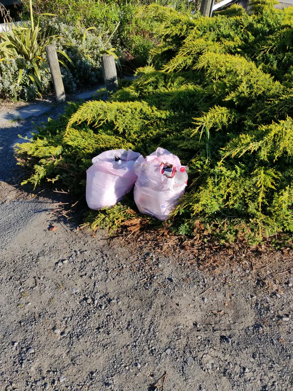 The photograph attached to this rubbish/recycling report