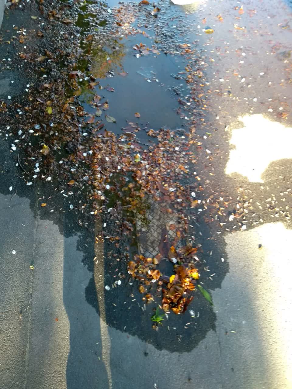 The photograph attached to this water supply report