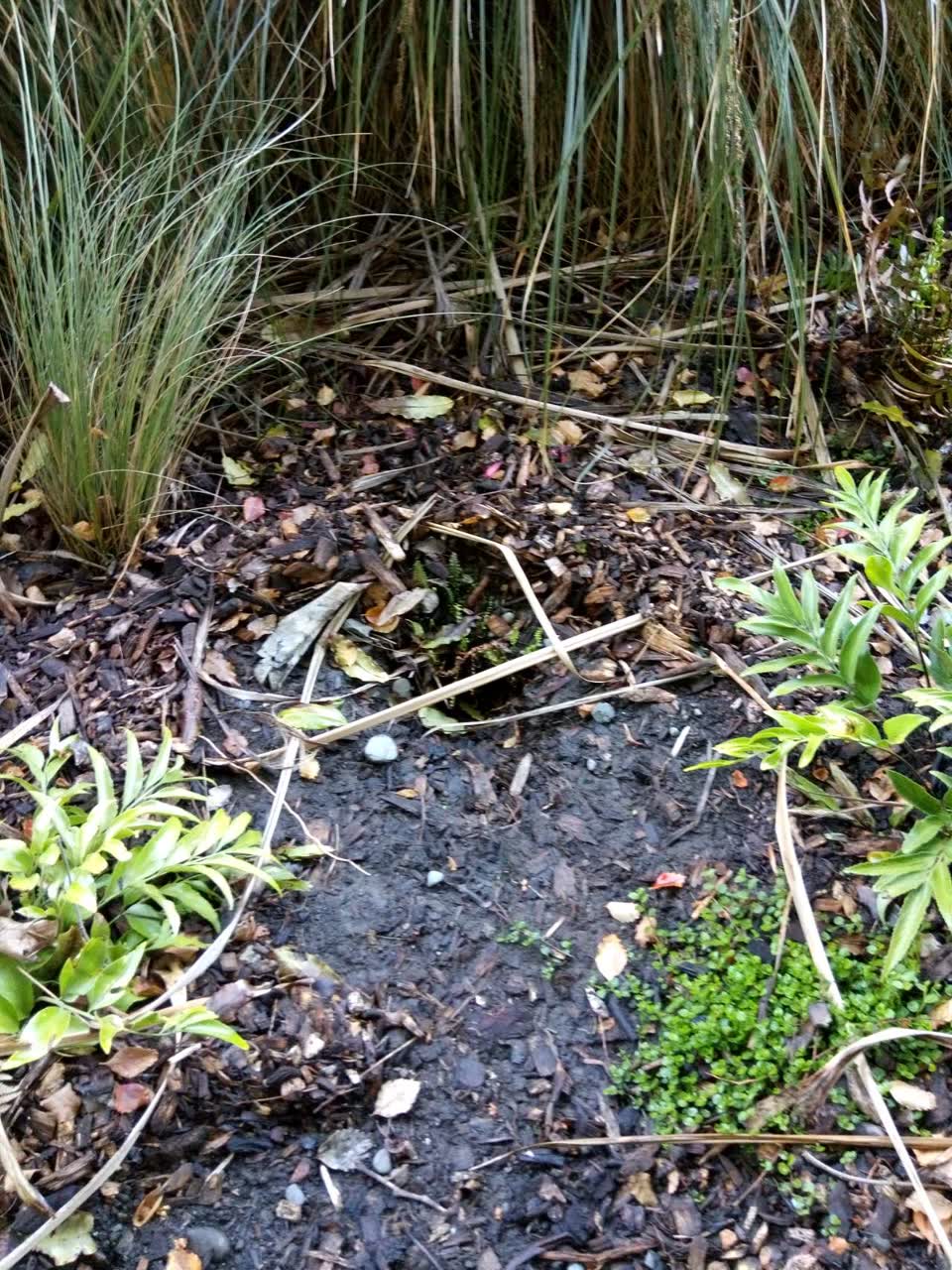 The photograph attached to this water supply report