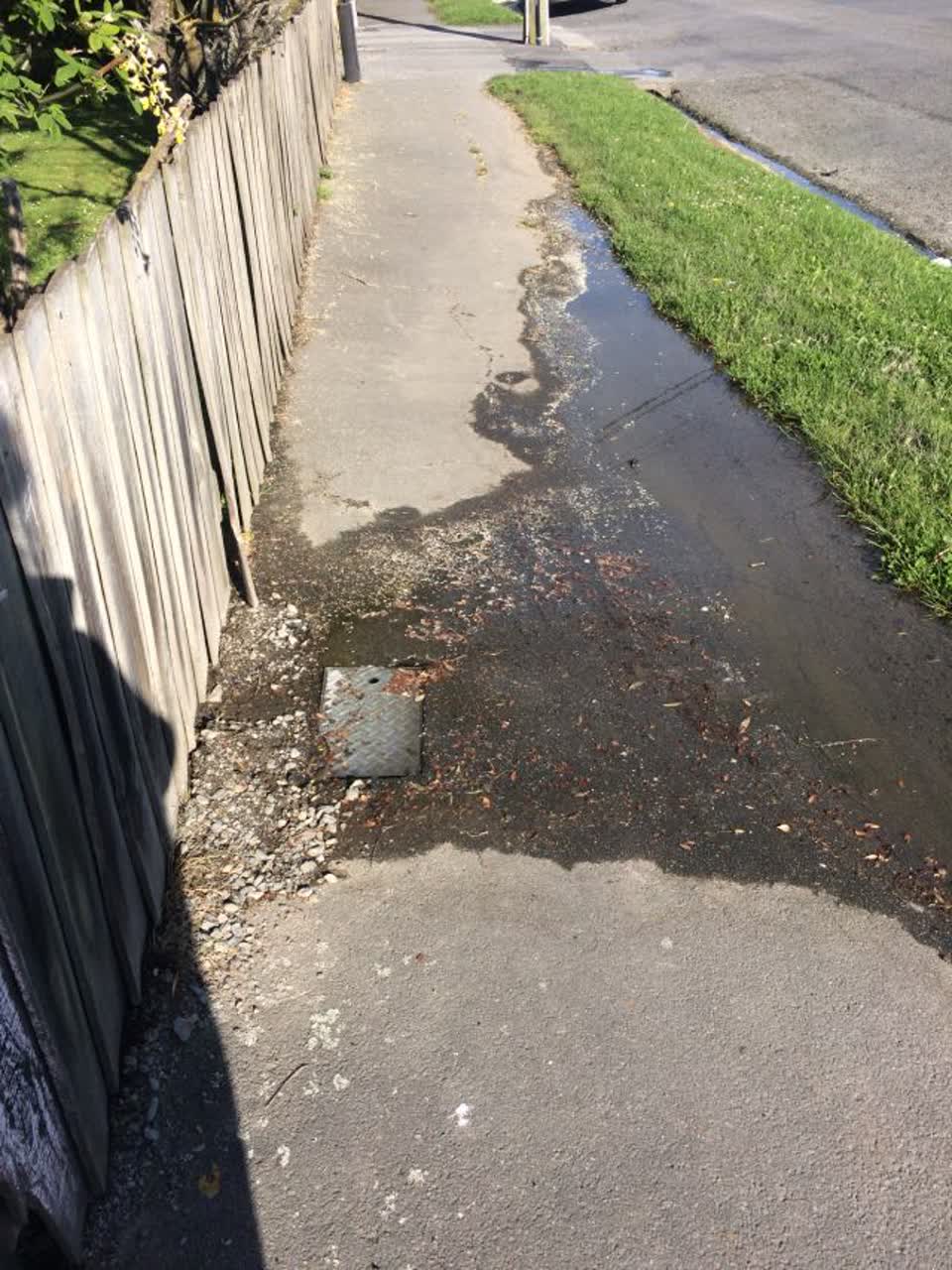 The photograph attached to this water supply report