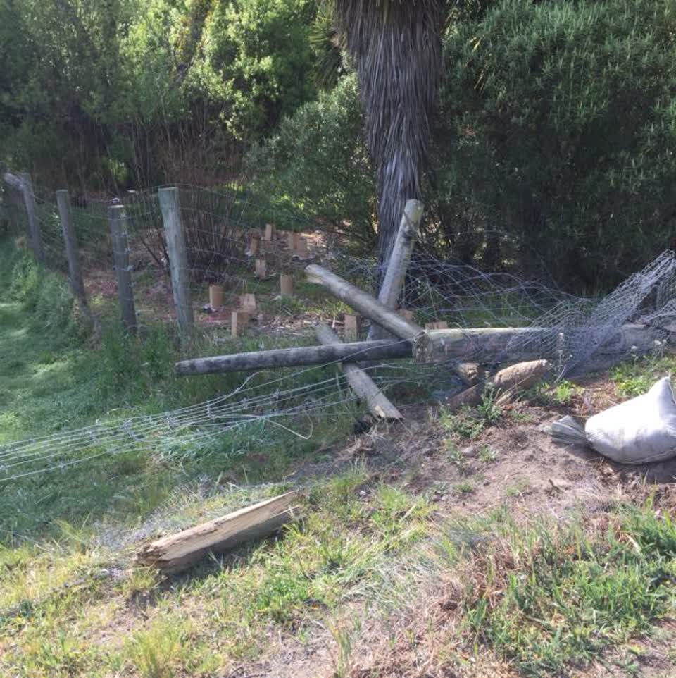 The photograph attached to this parks report
