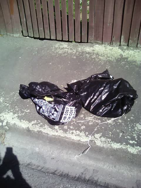 Rubbish/Recycling, a report photo
