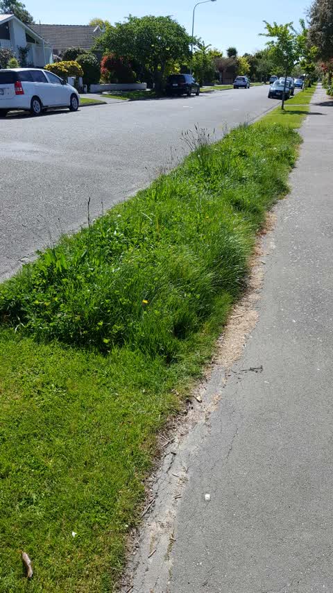 Roading/Streets, a report photo
