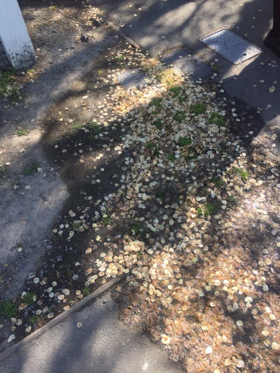The photograph attached to this water supply report