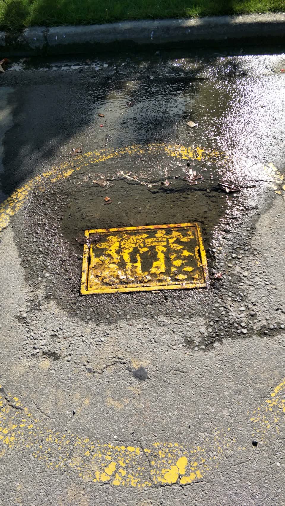 The photograph attached to this water supply report