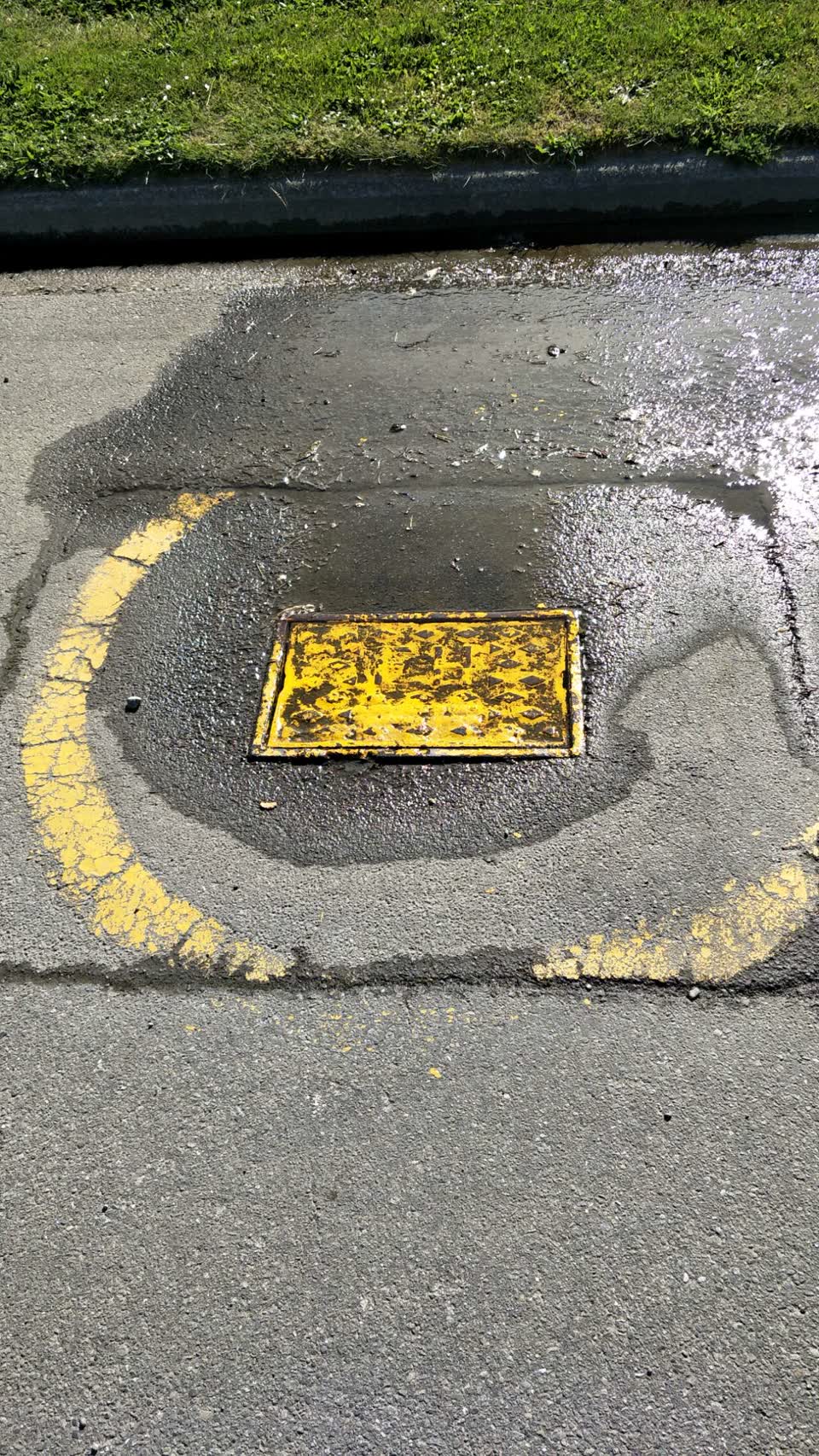 The photograph attached to this water supply report