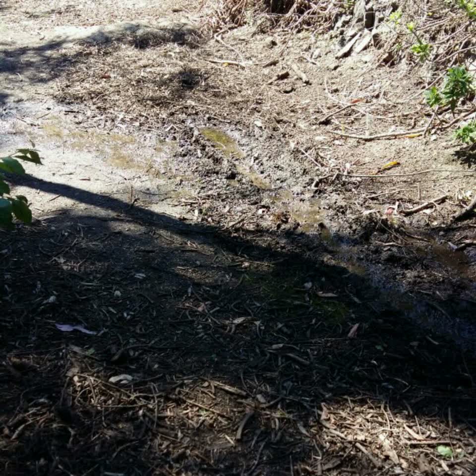 The photograph attached to this wastewater/stormwater report
