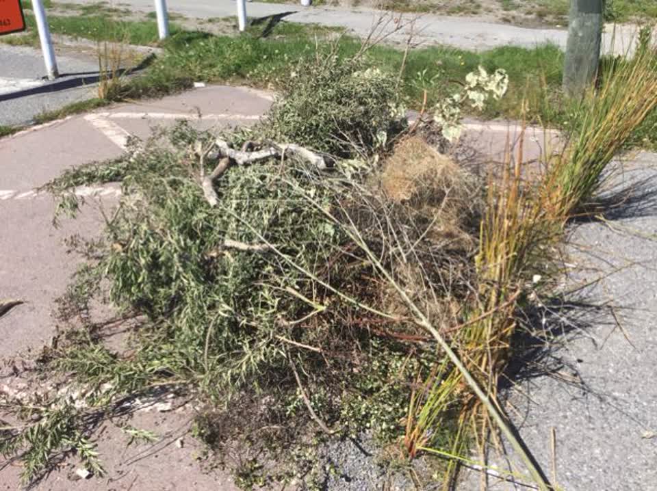 The photograph attached to this rubbish/recycling report