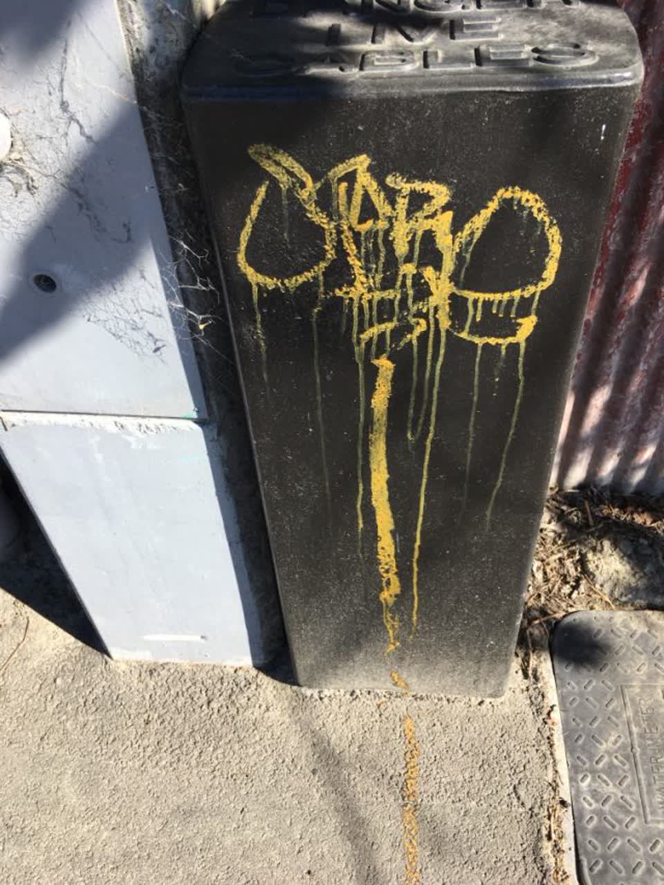 The photograph attached to this graffiti report