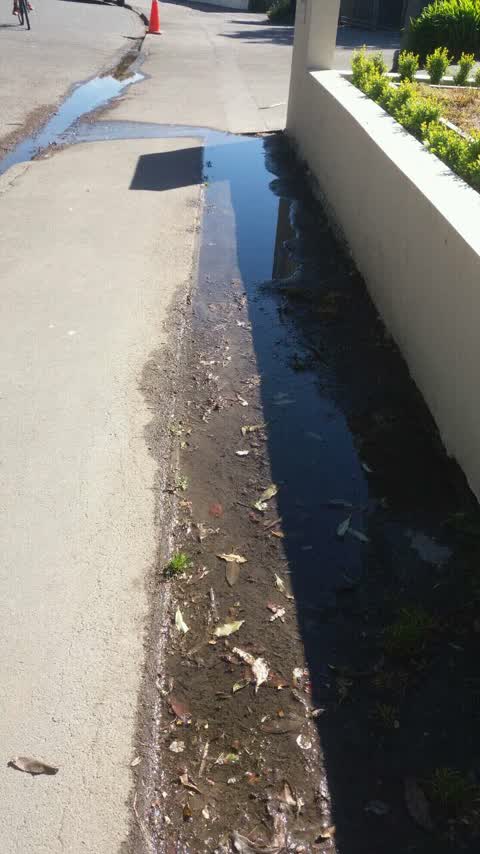 Water Supply, a report photo