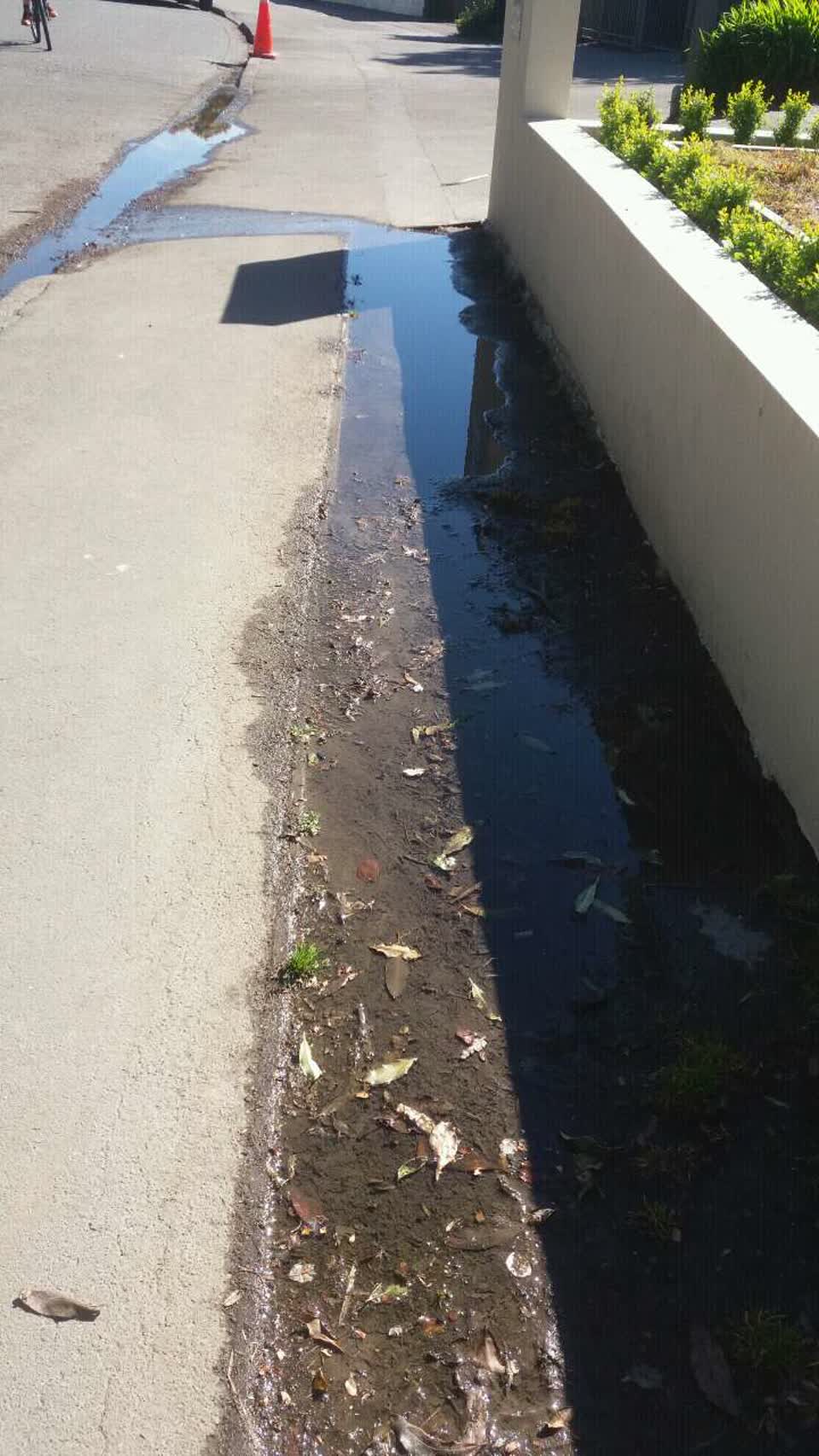 The photograph attached to this water supply report