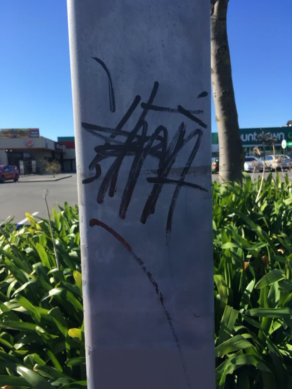 The photograph attached to this graffiti report