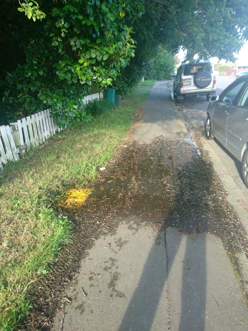 The photograph attached to this wastewater/stormwater report
