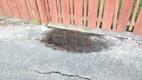 Water Supply, a report photo