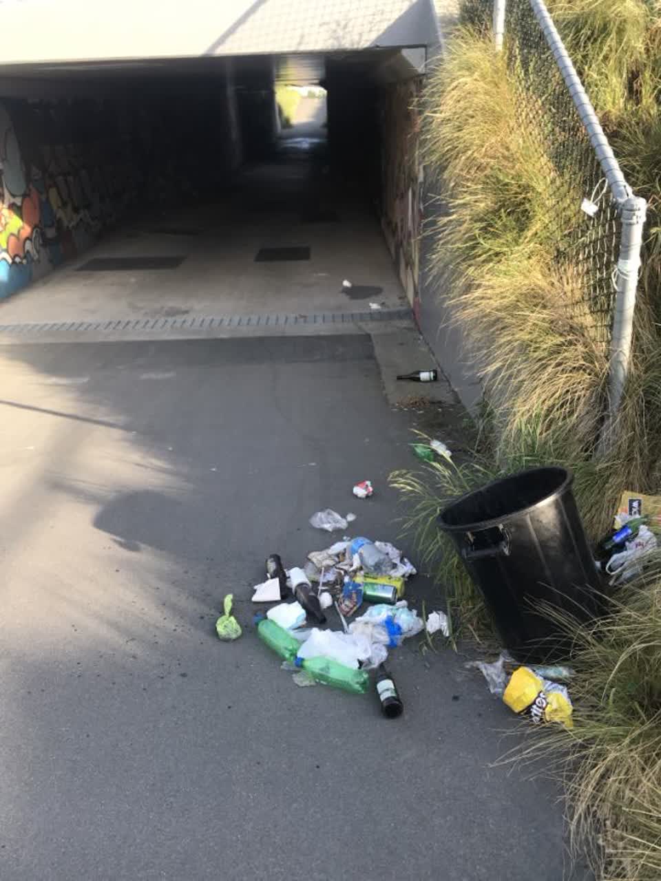 The photograph attached to this rubbish/recycling report