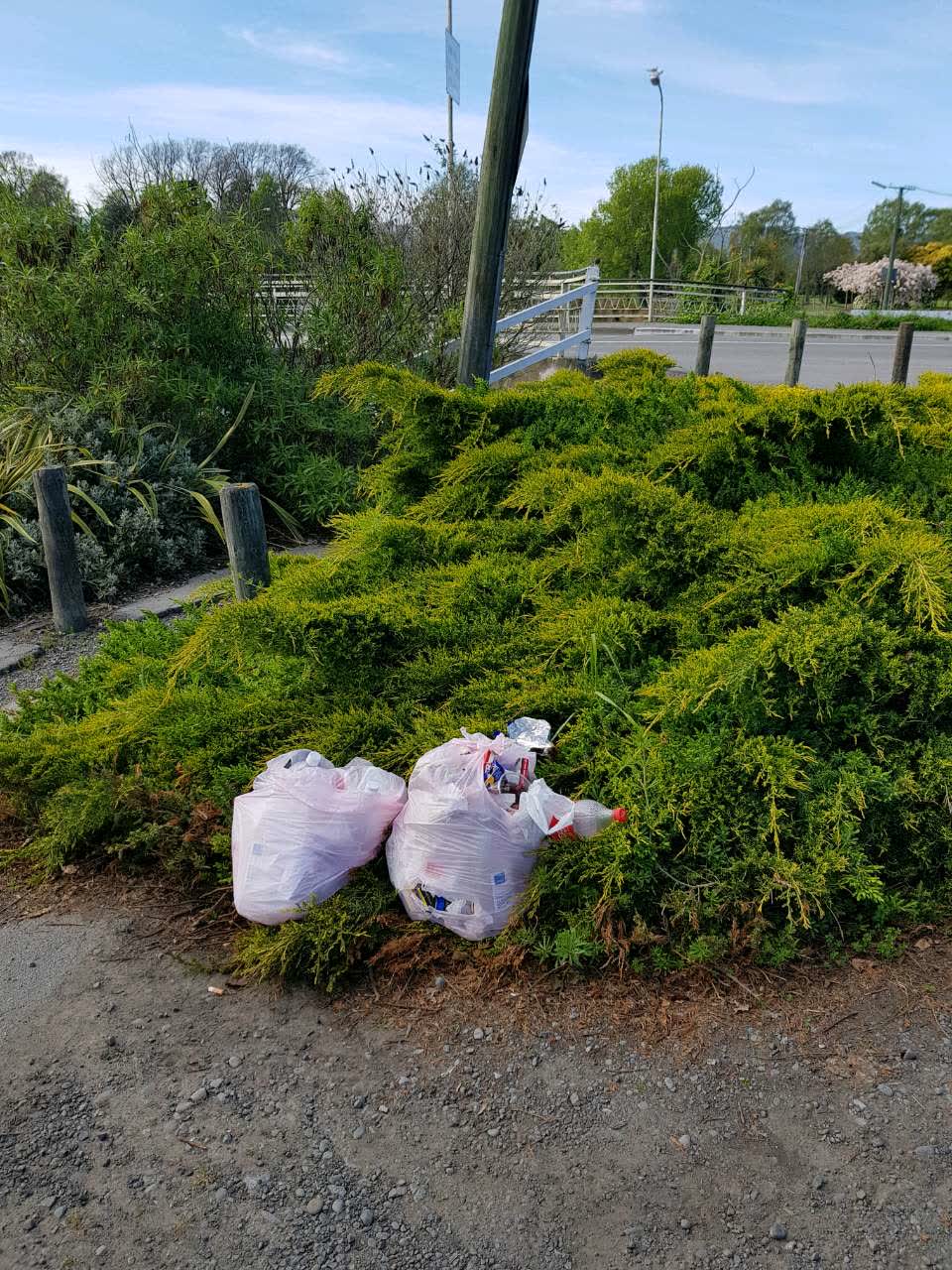 The photograph attached to this rubbish/recycling report