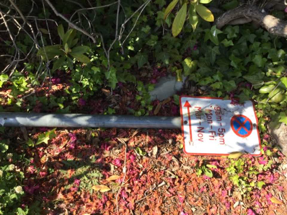 The photograph attached to this roading/streets report
