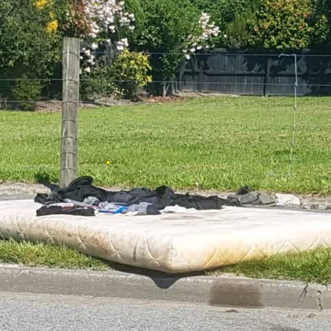 Rubbish/Recycling — a report photo