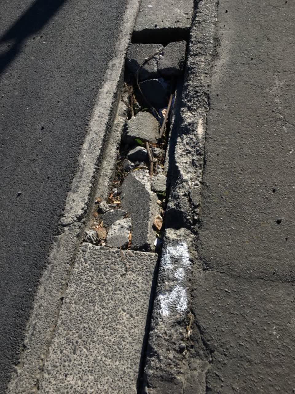 The photograph attached to this roading/streets report