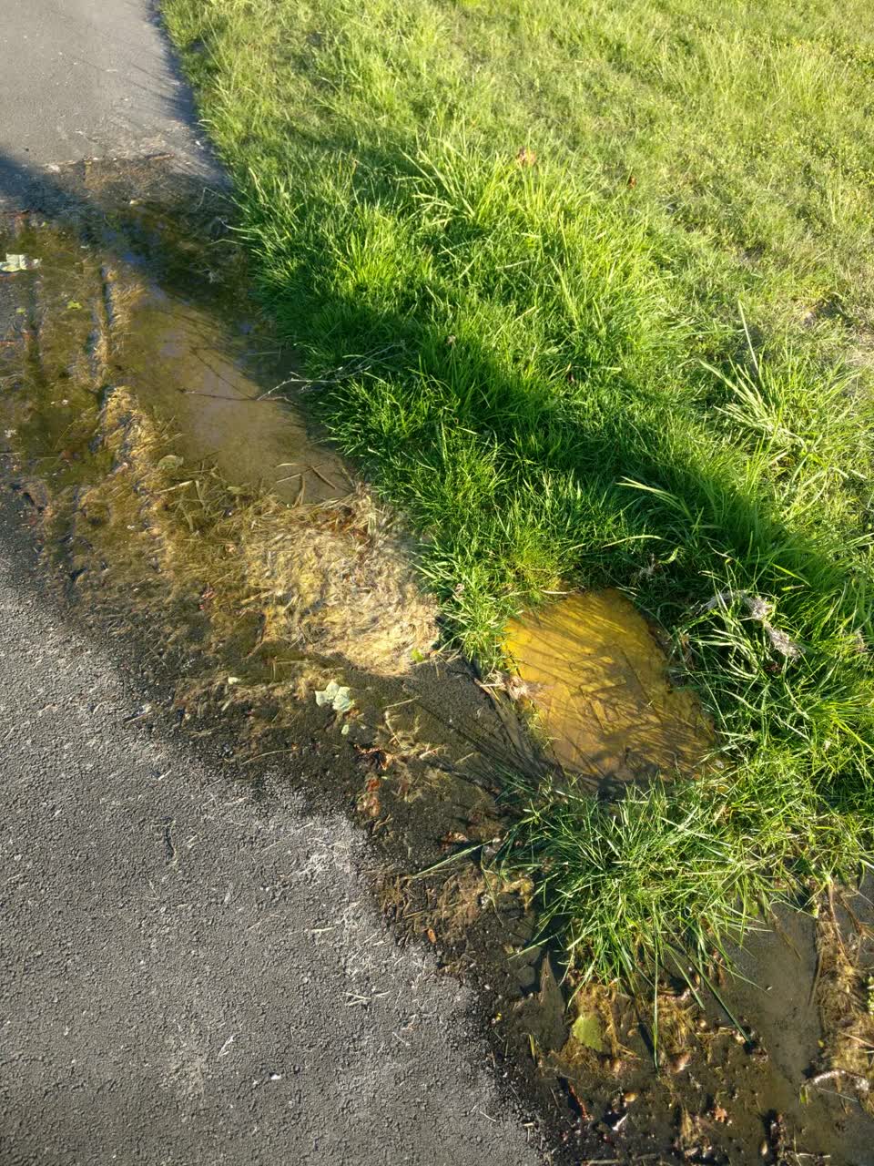 The photograph attached to this flooding report