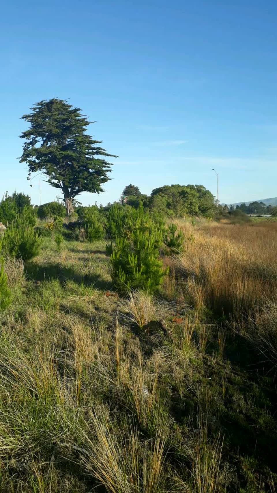 The photograph attached to this parks report