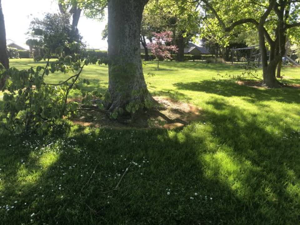 The photograph attached to this parks report
