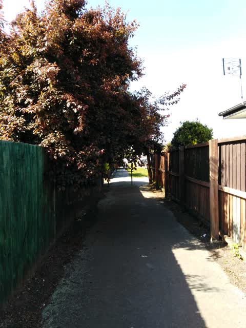 Roading/Streets, a report photo