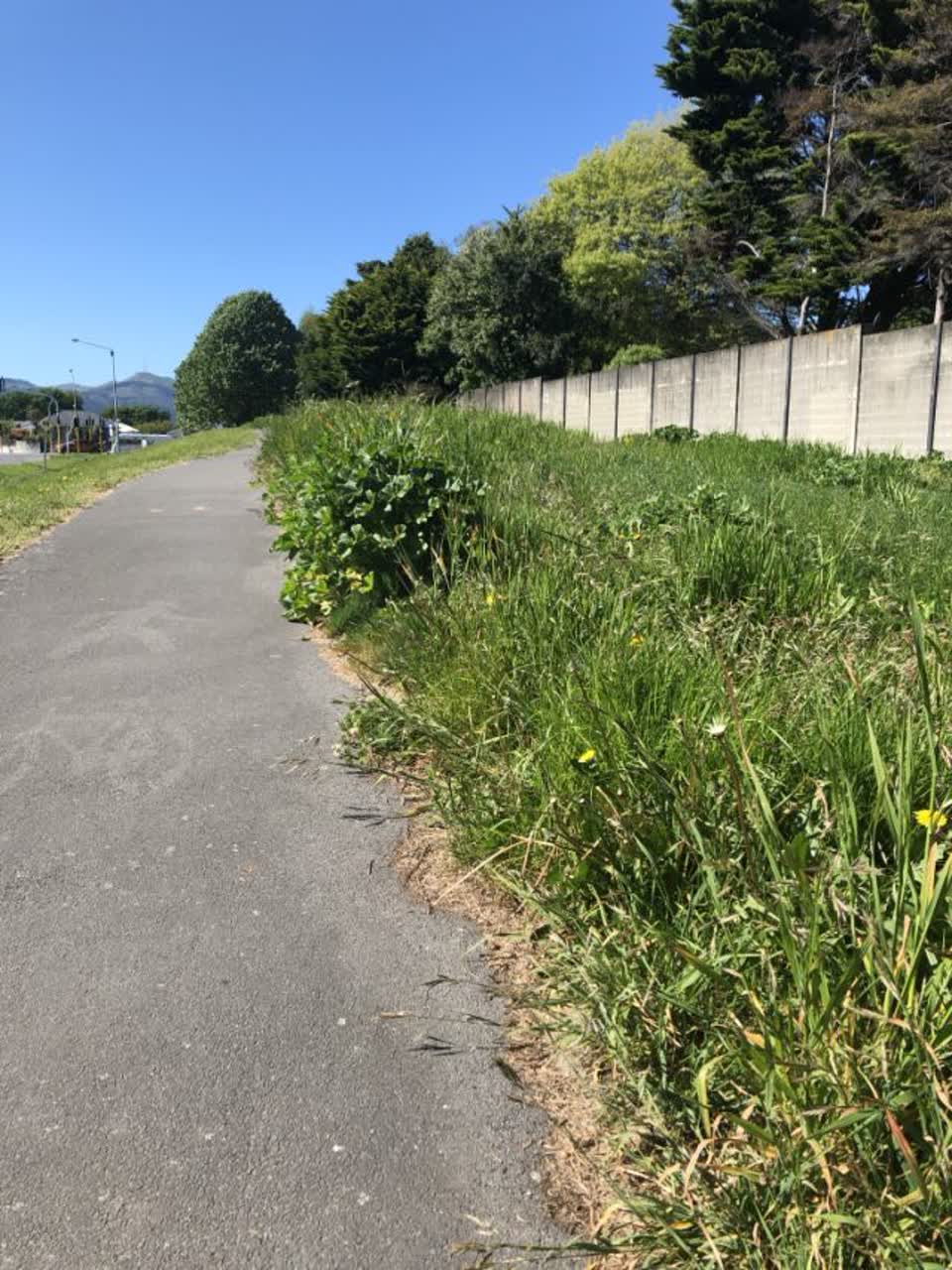 The photograph attached to this parks report