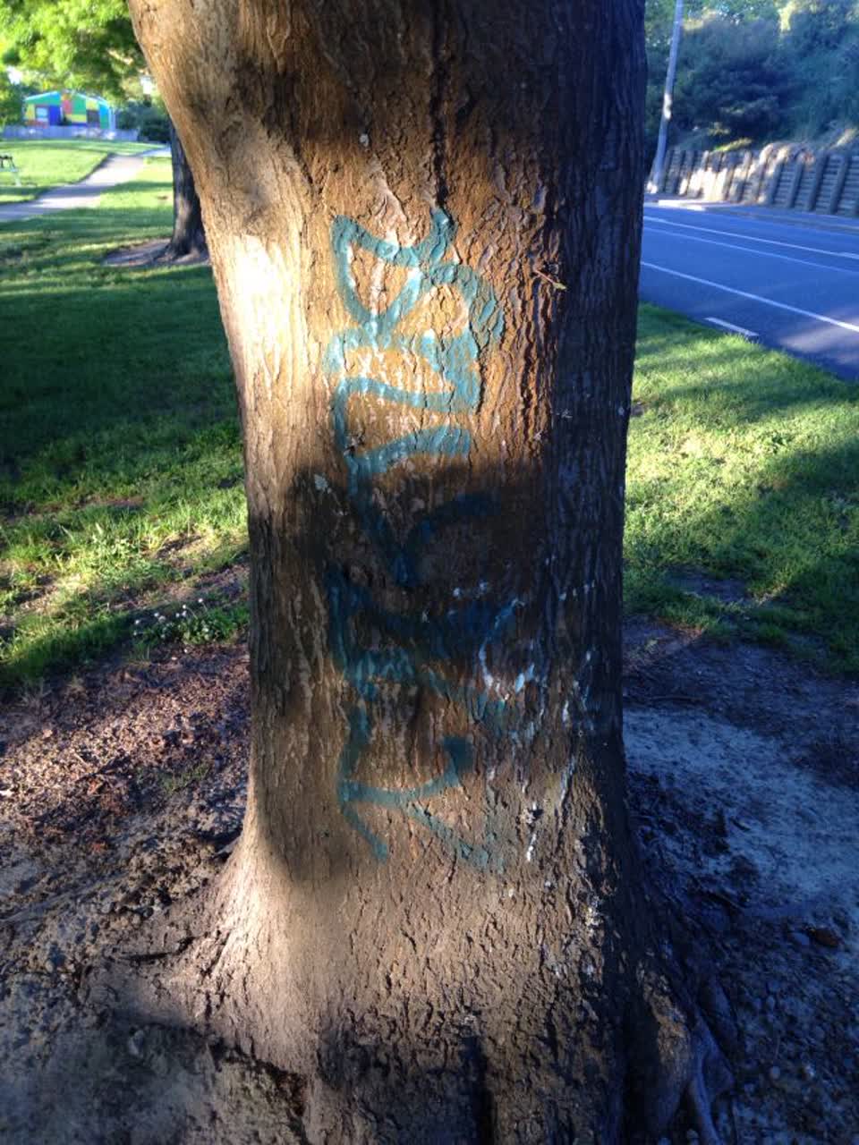 The photograph attached to this graffiti report