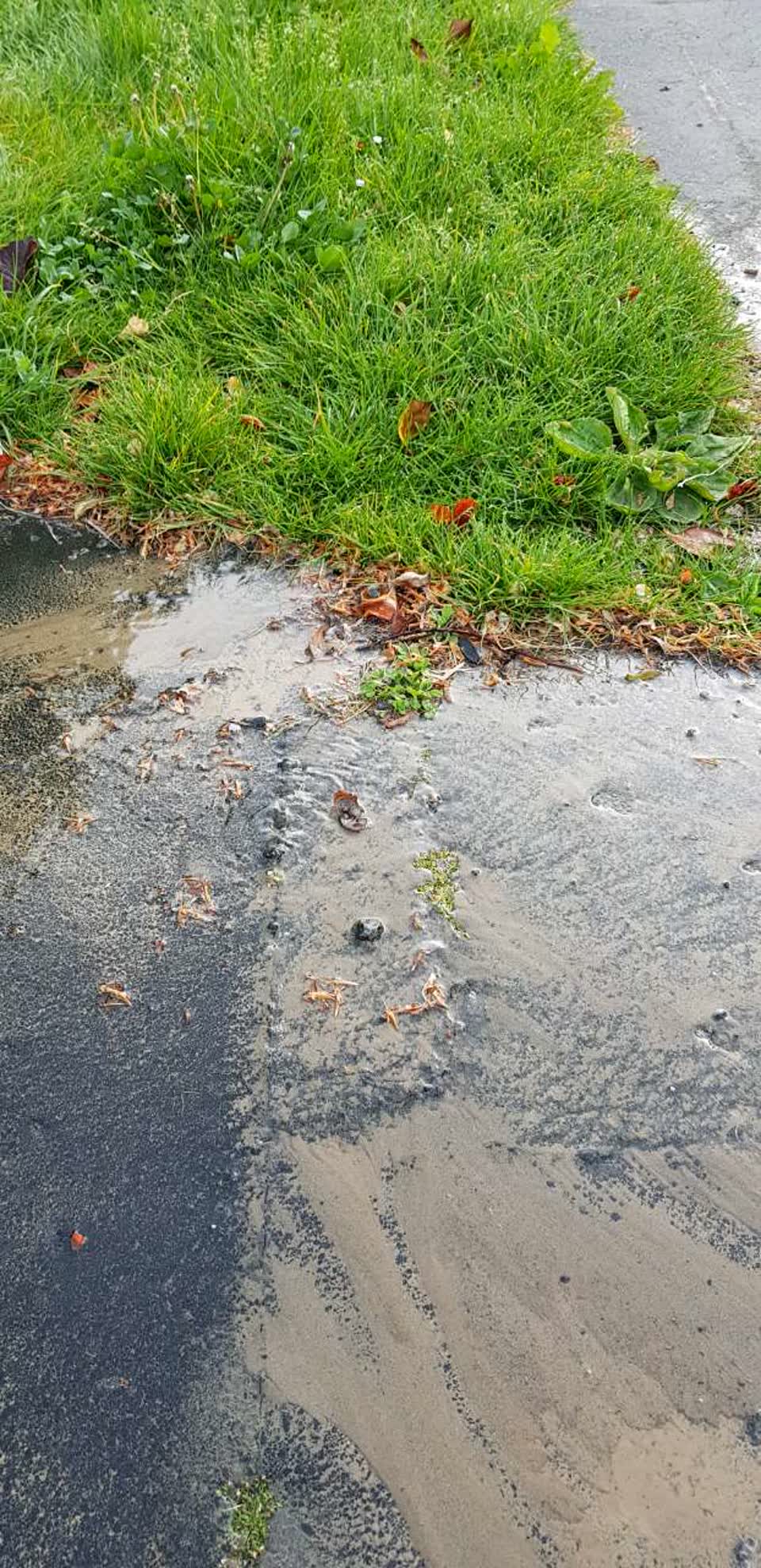 The photograph attached to this water supply report