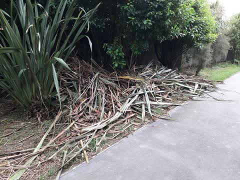 Parks, a report photo