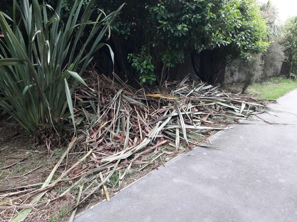 The photograph attached to this parks report