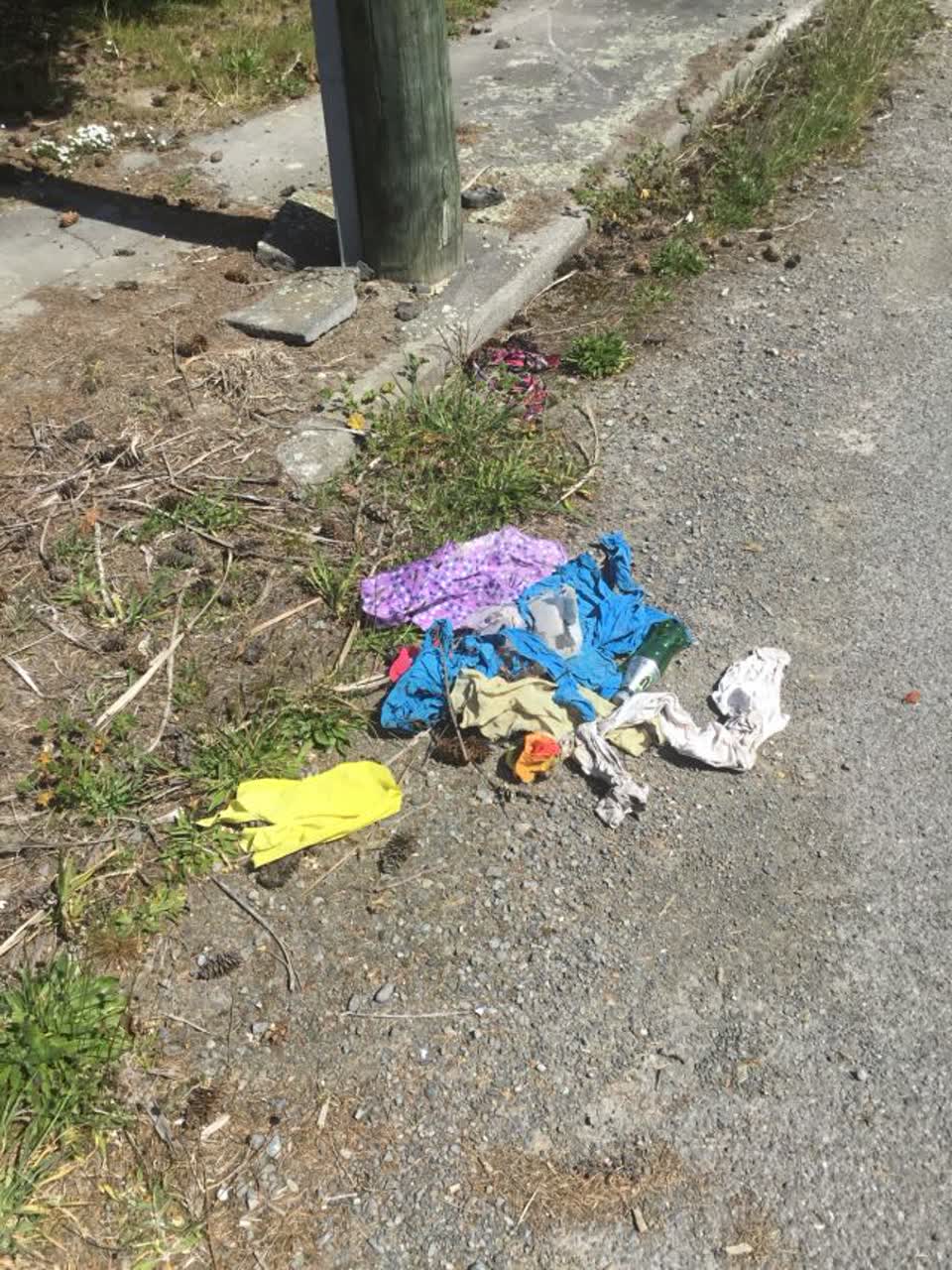 The photograph attached to this rubbish/recycling report