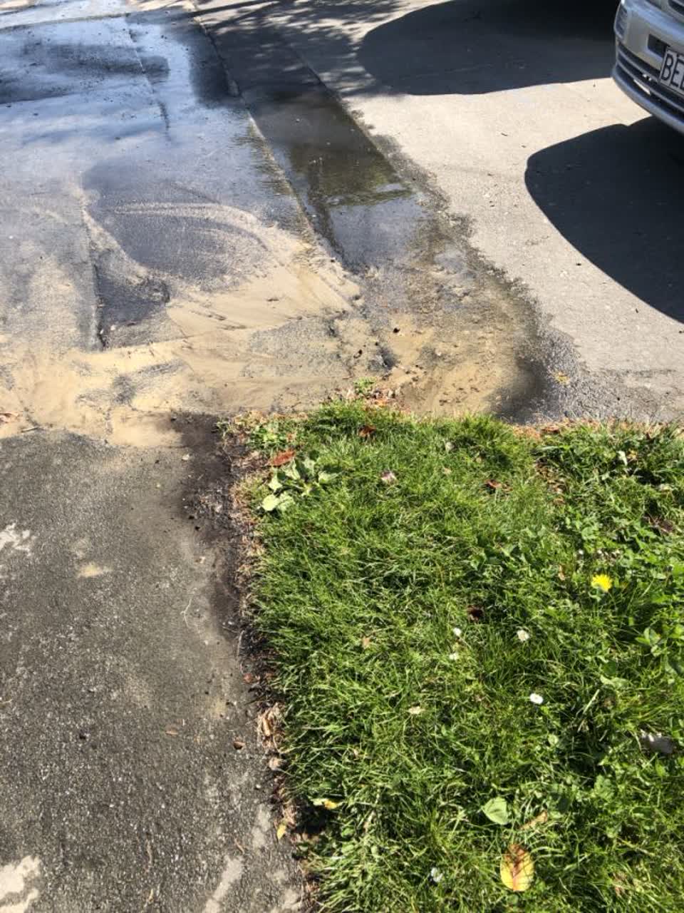 The photograph attached to this roading/streets report