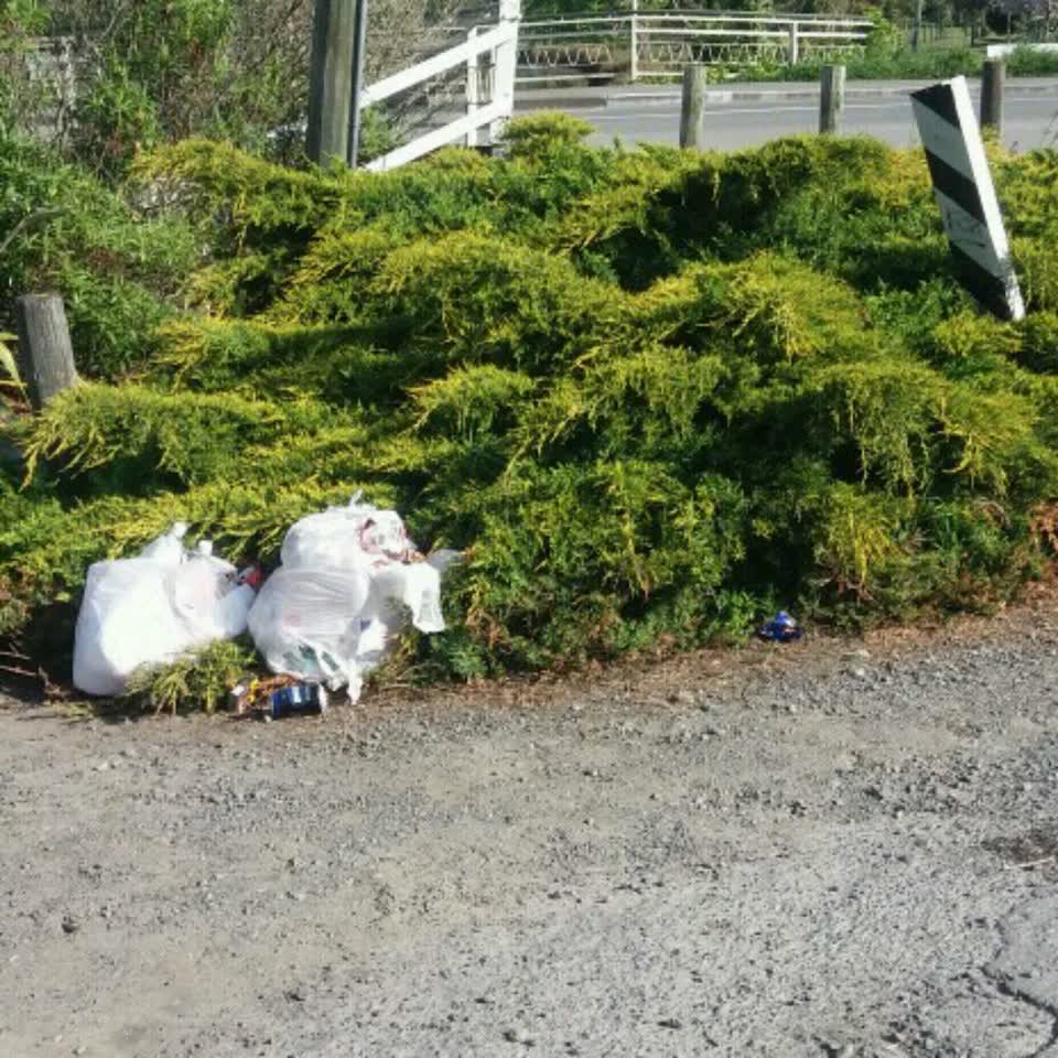 The photograph attached to this rubbish/recycling report