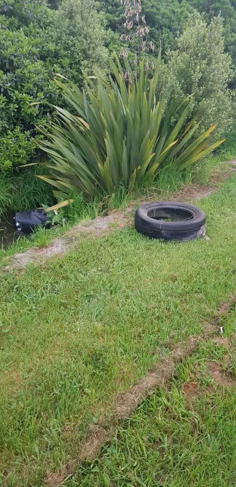 Rubbish/Recycling, a report photo