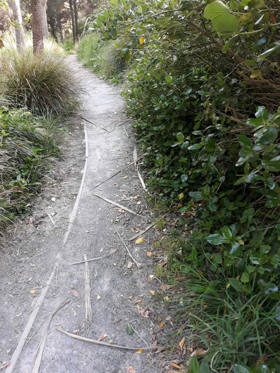 The photograph attached to this parks report