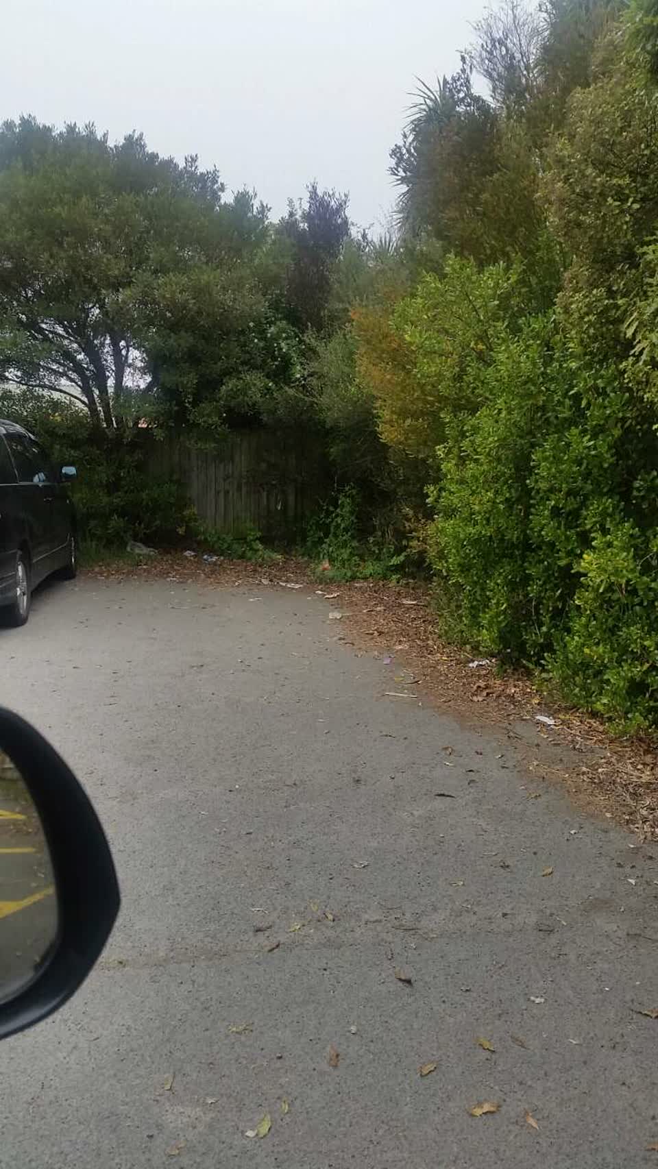 The photograph attached to this parks report