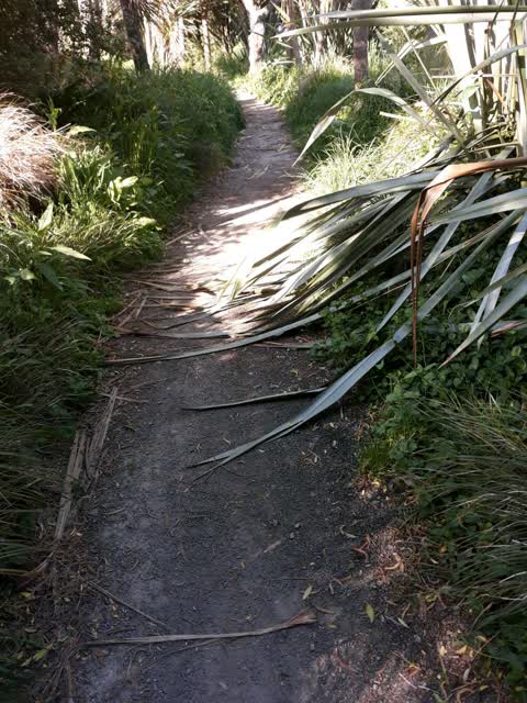 Parks, a report photo
