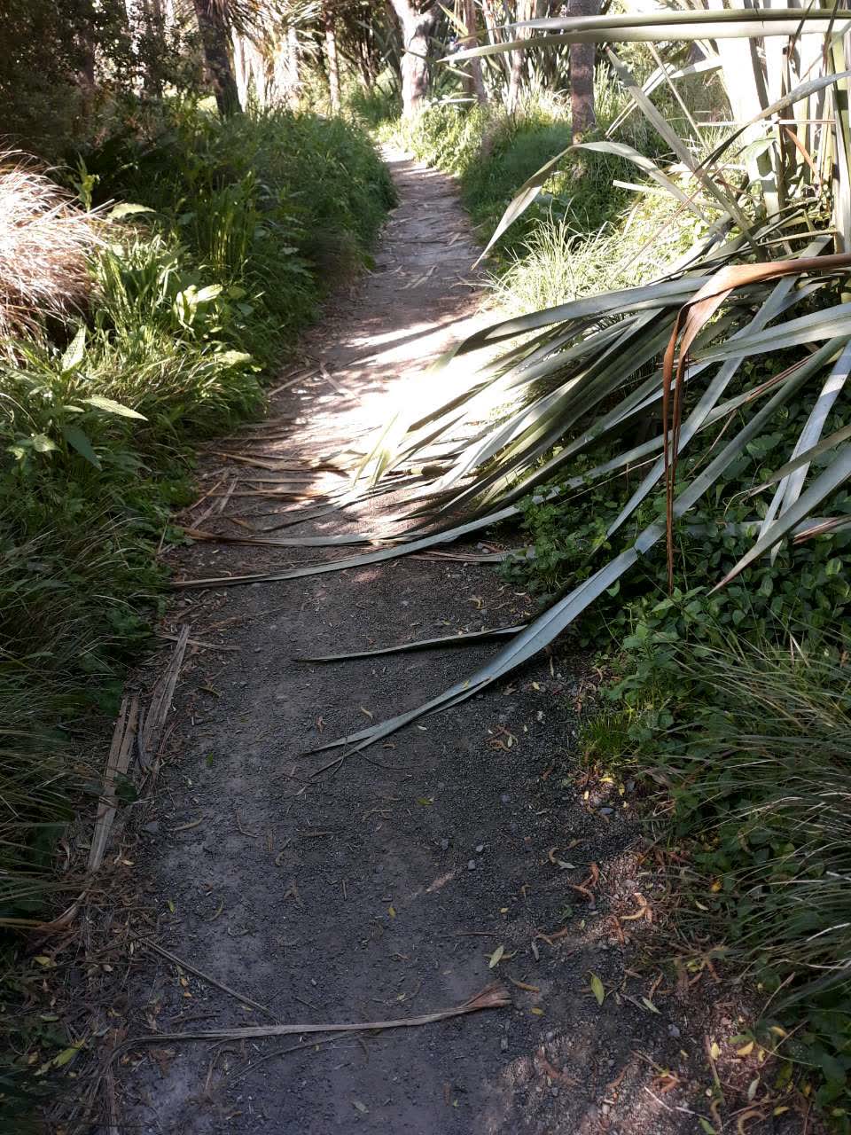 The photograph attached to this parks report