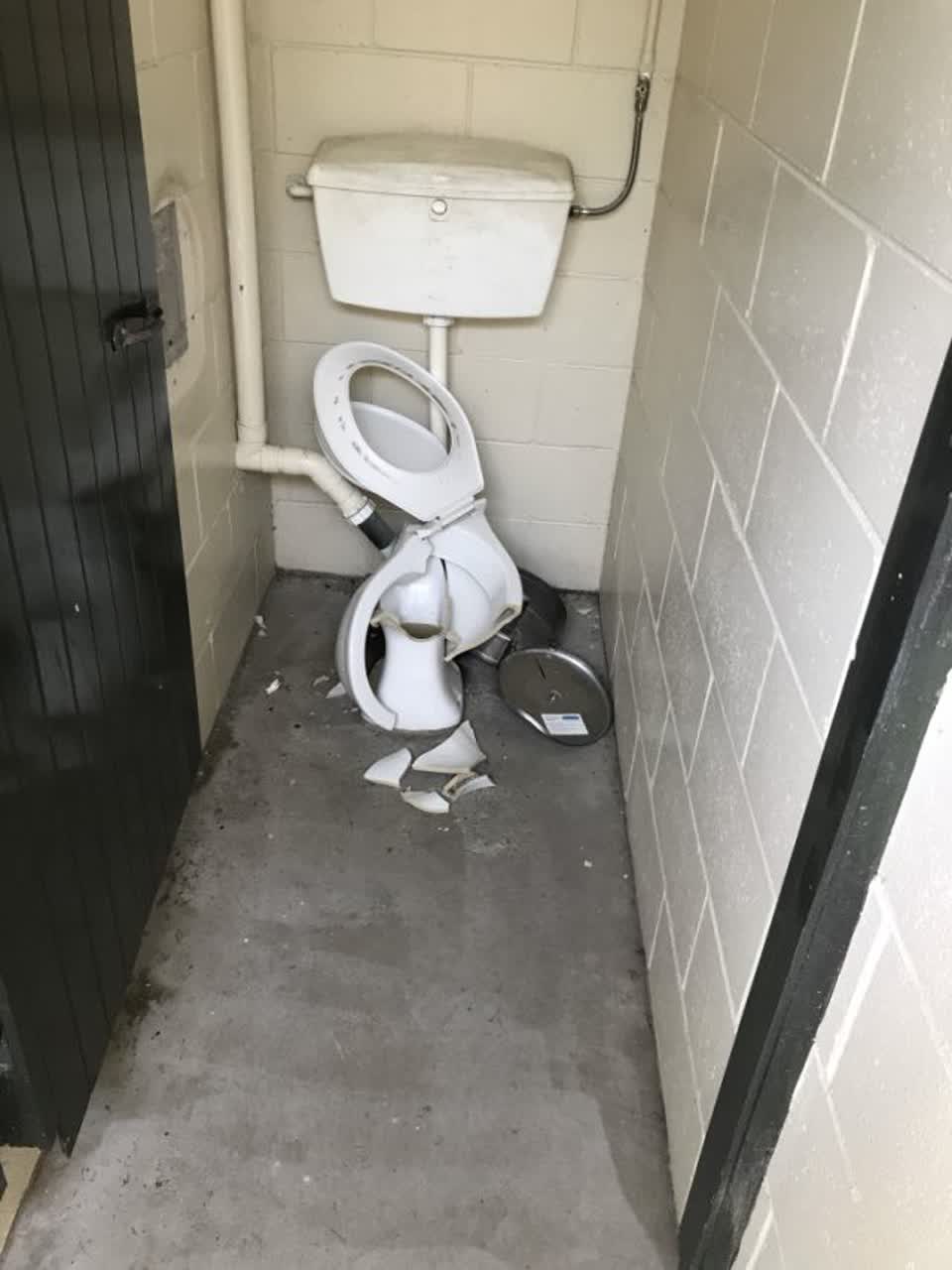 The photograph attached to this parks report