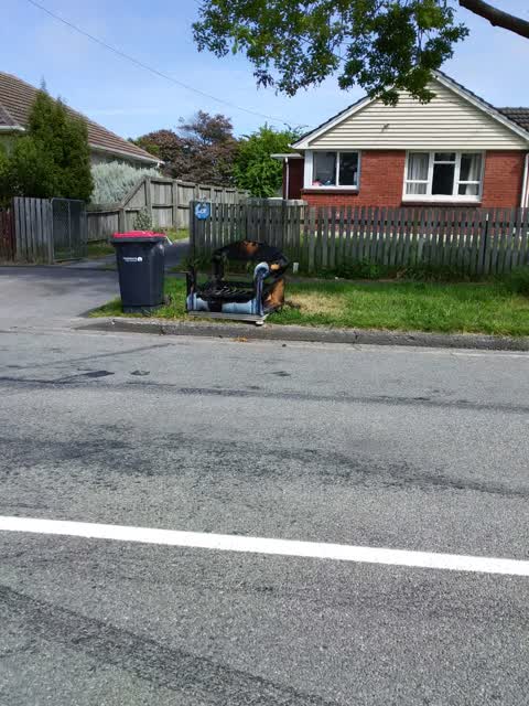 Rubbish/Recycling, a report photo