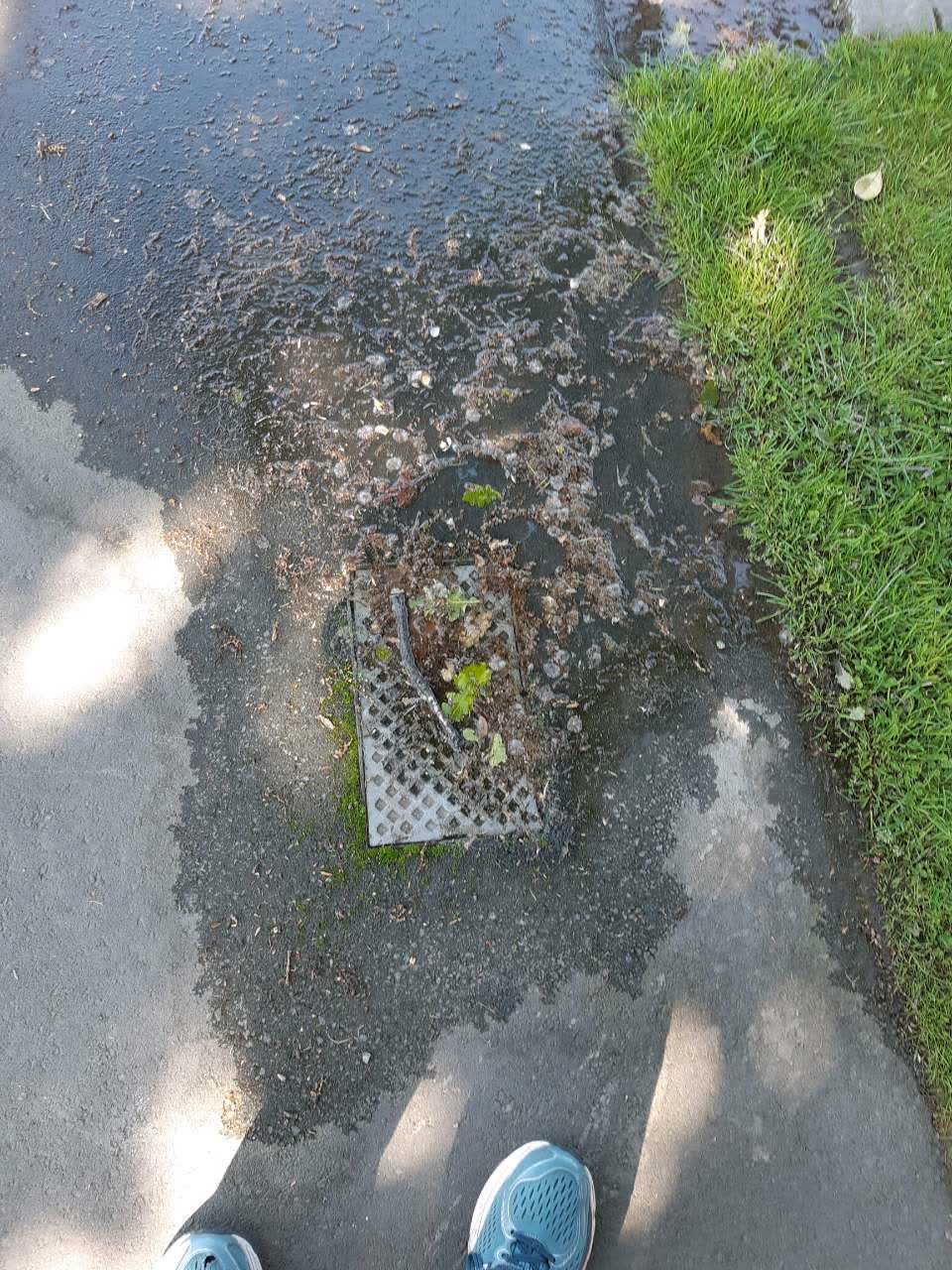 The photograph attached to this water supply report