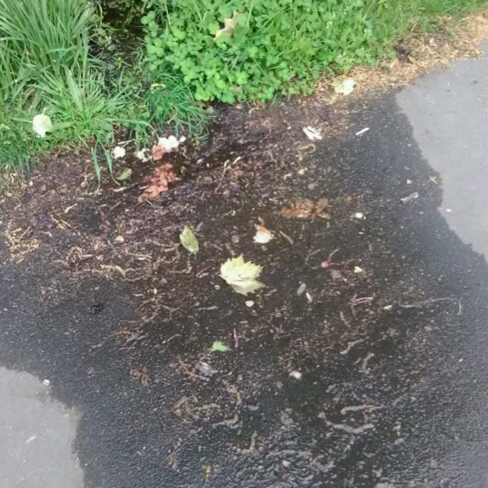 The photograph attached to this wastewater/stormwater report