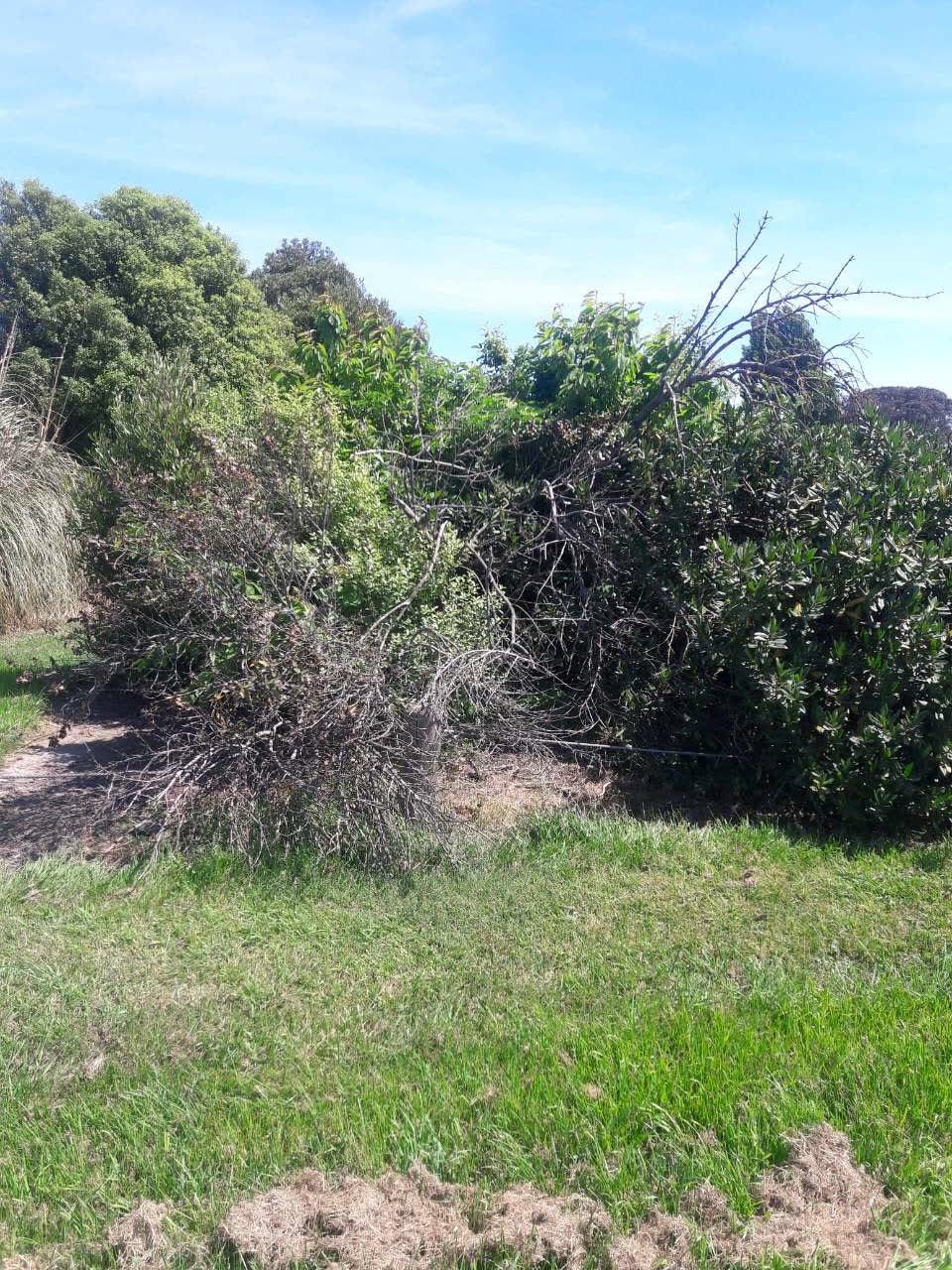 The photograph attached to this parks report