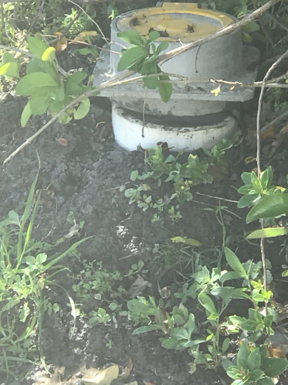 The photograph attached to this water supply report