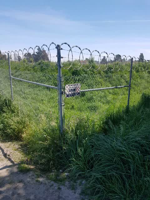 Roading/Streets — a report photo